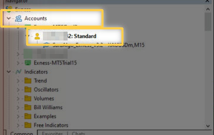 Navigator panel with Accounts and the account number highlighted
